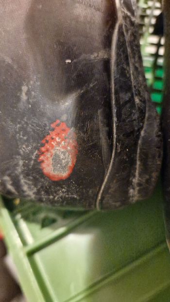 Used Shimano RC7 Road Cycling Shoes 2022 bike — image 4 of 8