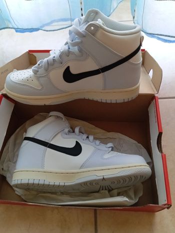 Used Nike Dunk High bike