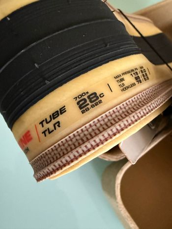 Used Vittoria Corsa Speed Tubeless-Ready 2026 bike — image 6 of 8