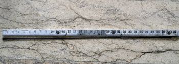 Used Pillar Raggi Straight Pull 2/1.5/2mm 305mm bike — image 3 of 3