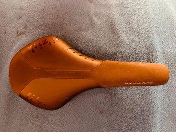 Used Fizik Antares bike