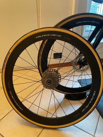 Used Shimano DURA-ACE C50 Tubeless Wheel Rear 2025 bike