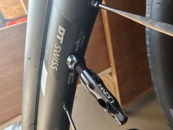 Used Dt Swiss GR 1600 SPLINE db 25 12/142 mm Shimano 2025 bike — image 10 of 11