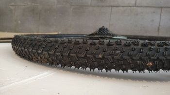 Used Rockrider 29x23c Double-Walled QR Tubeless Ready Disc Brake Mountain Bike Front Wheel 2024 bike — image 3 of 5