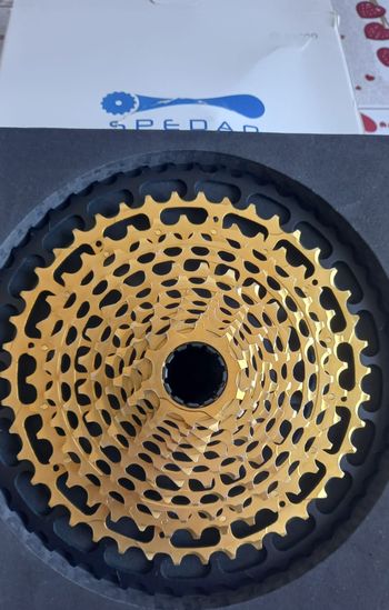 Used Sram XD 12v Gold 2026 bike — image 2 of 9