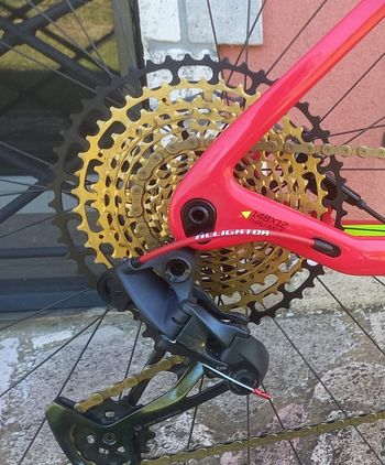 Used Sram XD 12v Gold 2026 bike — image 8 of 9