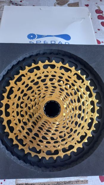 Used Sram XD 12v Gold 2026 bike — image 9 of 9