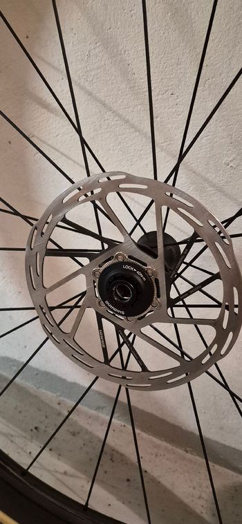 Used Miche Kleos 50 Carbon Disc Wheelset 2025 bike — image 5 of 8