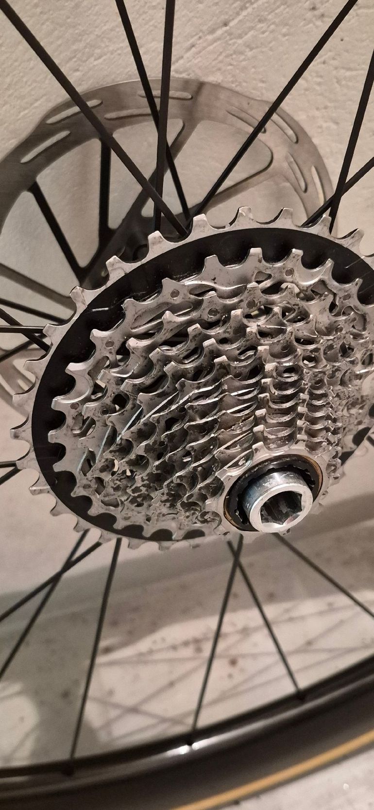 Used Miche Kleos 50 Carbon Disc Wheelset 2025 bike — image 8 of 8