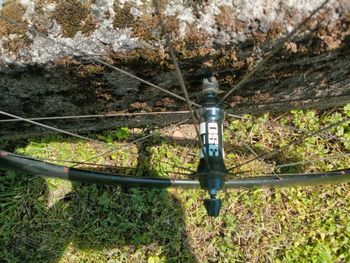 Used Dt Swiss Ruote bike — image 3 of 4