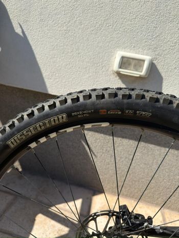 Used Wtb Rear Wheel 29" Boost - ST i25/SRAM + NX 12v Tubeless Cassette 2022 bike — image 3 of 6