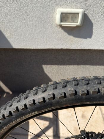 Used Wtb Rear Wheel 29" Boost - ST i25/SRAM + NX 12v Tubeless Cassette 2022 bike — image 5 of 6