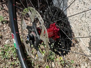 Used Tsunami Carbon Project 29" Carbonio Tsunami Wheels 2016 bike — image 7 of 13