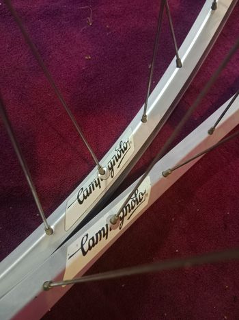 Used Ruote su cerchi Campagnolo contax e mozzi shimano XT mtb, mountain bike bike — image 7 of 11
