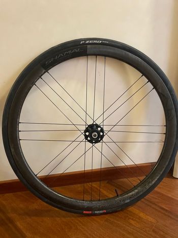 Used Campagnolo Shamal Carbon Wheels bike — image 5 of 8