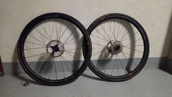 Used Miche Synthium Aero 2024 bike — image 3 of 3
