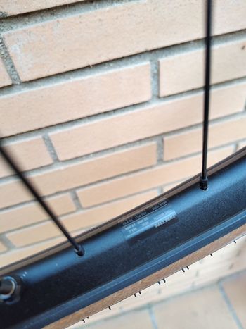 Used Dt Swiss XR 361 bike — image 11 of 11