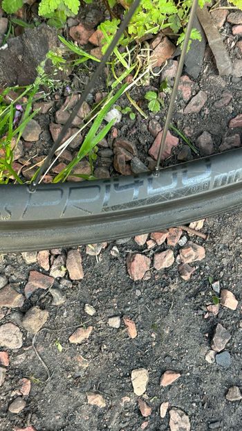Used Dt Swiss PR 1400 DICUT OXiC 32 Wheel 2022 bike — image 4 of 10