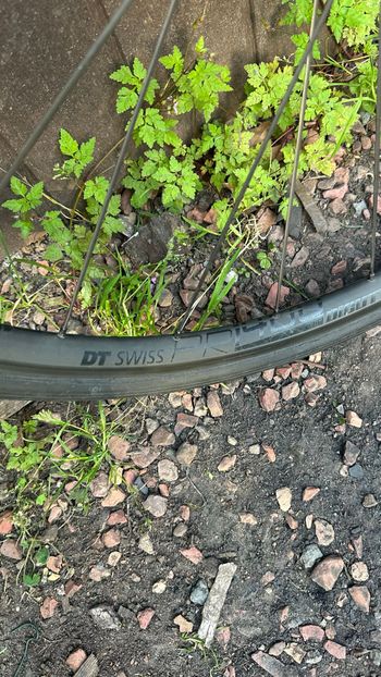 Used Dt Swiss PR 1400 DICUT OXiC 32 Wheel 2022 bike — image 5 of 10