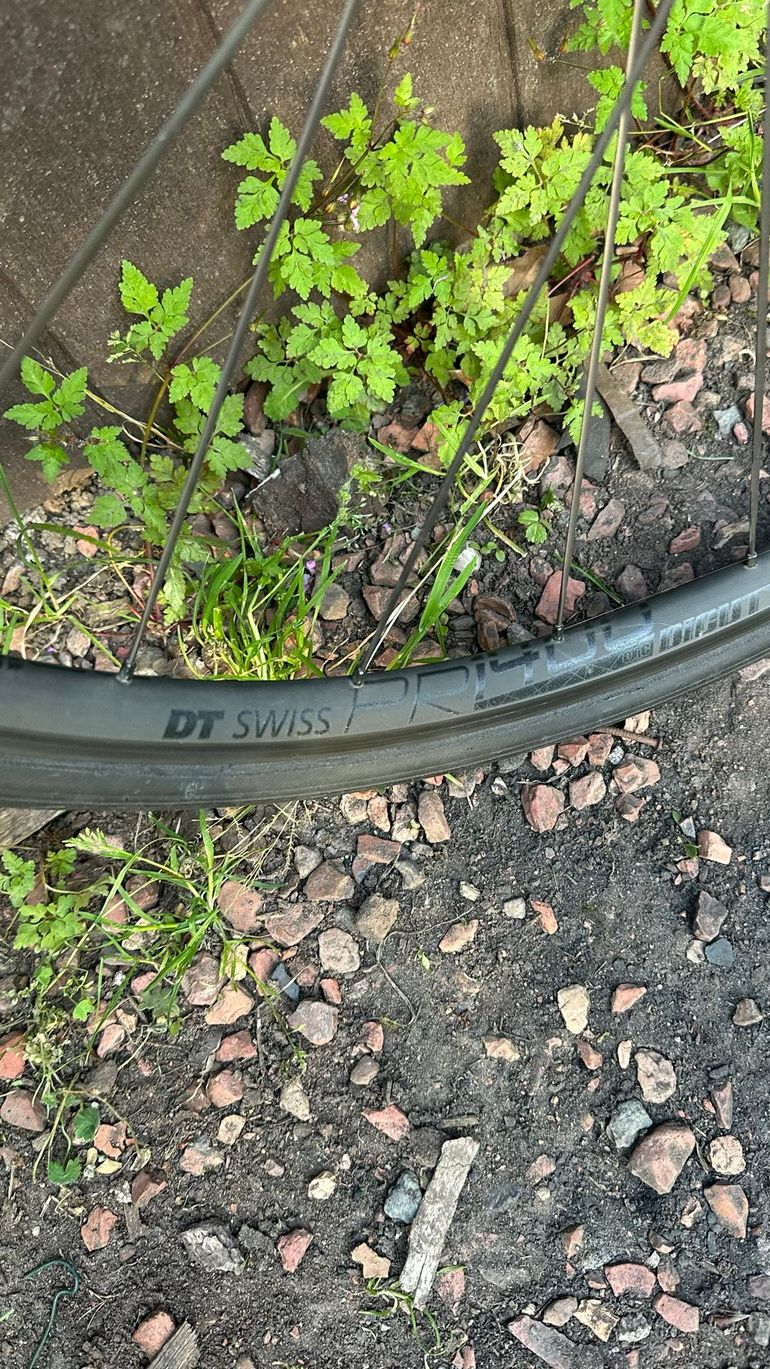Used Dt Swiss PR 1400 DICUT OXiC 32 Wheel 2022 bike — image 5 of 10