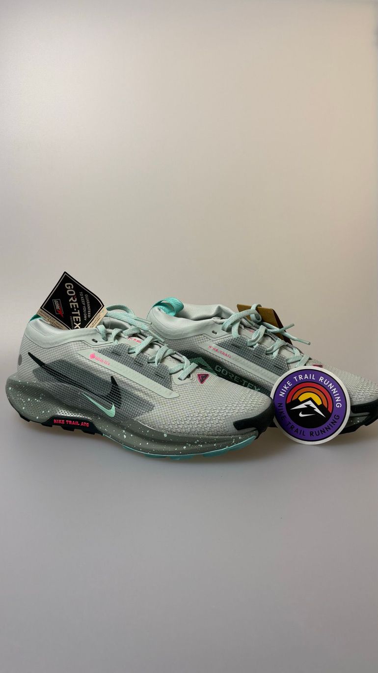 Used Nike Pegasus Trail 5 GORE-TEX bike — image 1 of 6