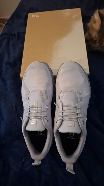 Used On Running Cloud 6 Donna 2026 bike — image 4 of 4