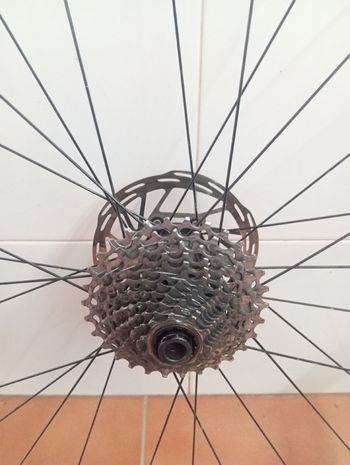 Used Syncros Rear Aluminum Wheel with SRAM Rival 10-30 Cassette and 140mm Disc Brake bike — image 5 of 6