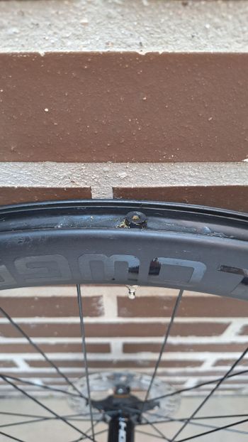 Used Cannondale R 45 Wheelset 2024 bike — image 2 of 6