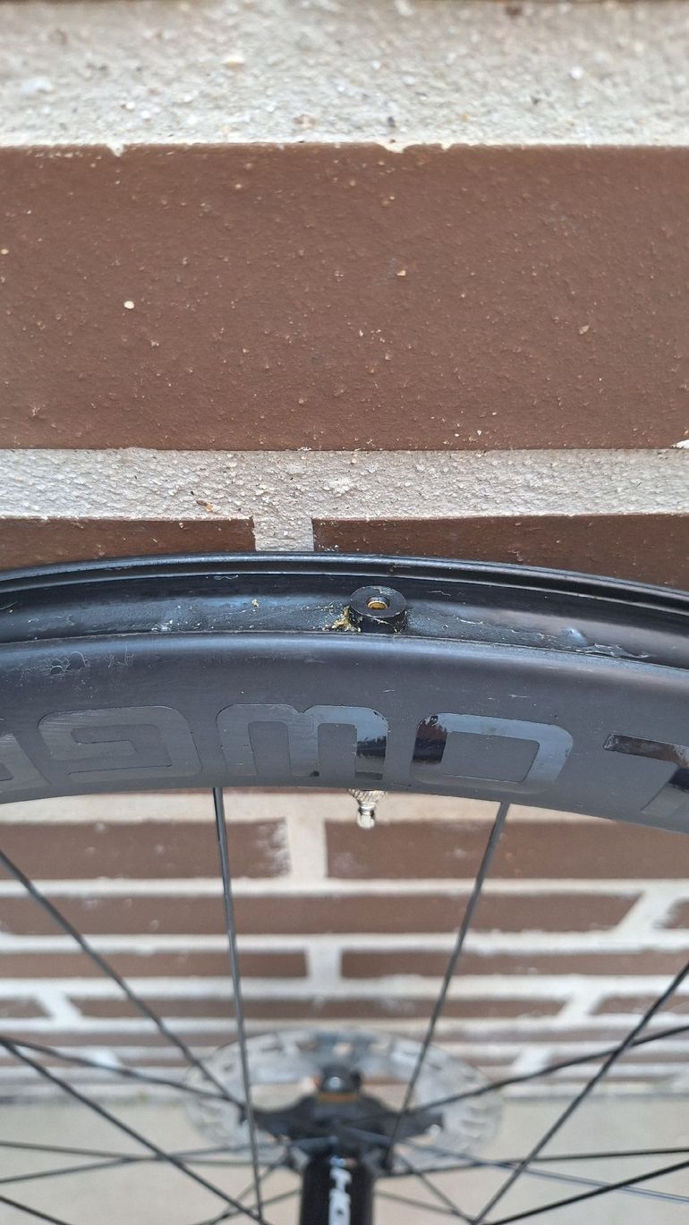 Used Cannondale R 45 Wheelset 2024 bike — image 2 of 6