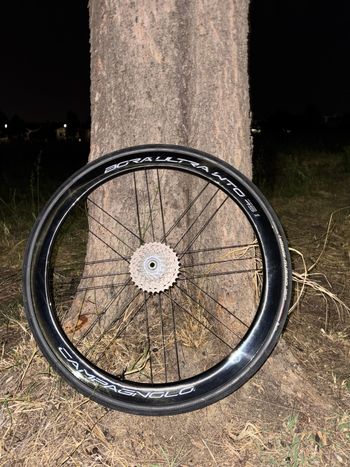 Used Campagnolo Bora Ultra WTO 45 Disc 2WF Tubeless Ready 2025 bike — image 6 of 7