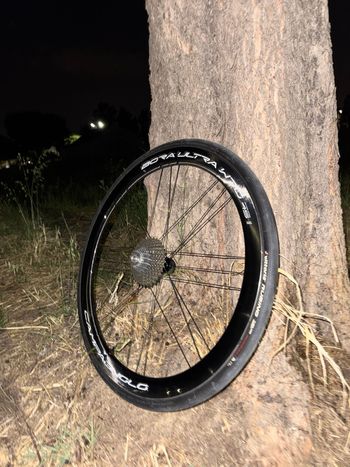 Used Campagnolo Bora Ultra WTO 45 Disc 2WF Tubeless Ready 2025 bike — image 7 of 7
