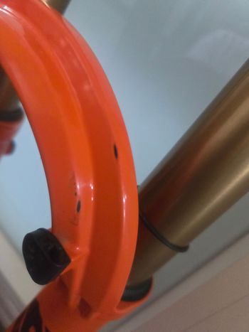 Used Fox 36 Factory Kashima 160mm Ruota 29" bike — image 3 of 8