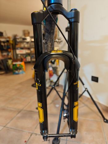 Used Öhlins RXF38 m.2 + cartuccia andreani bike