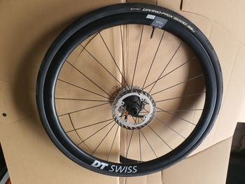 Used Dt Swiss ERc 1600 Disc Laufradsatz 2025 bike — image 4 of 6