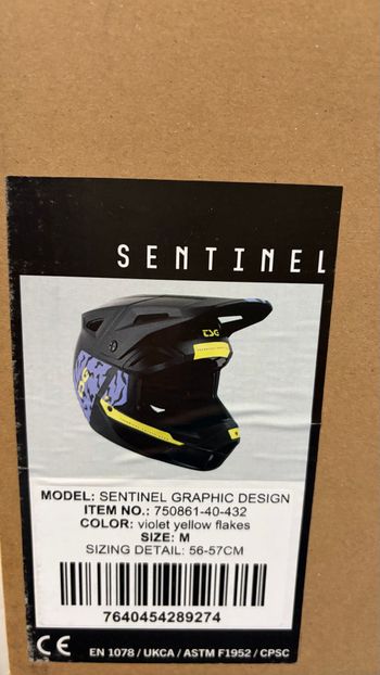 Used Tsg Sentinel Full Face Helmet 2026 bike