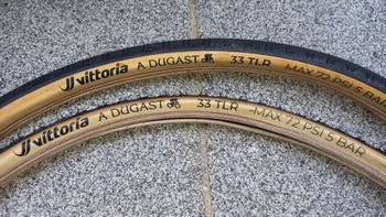 Used Vittoria a.dugast pipisquallo 33 tlr 2026 bike