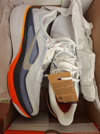 Used Nike Pegasus 42 US 14/EU 48.5 2026 bike