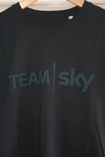 Used Stanley/ Stella TEAM SKY BF EDITION bike