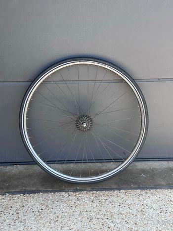 Used Schwalbe Marathon Plus Tires 2022 bike