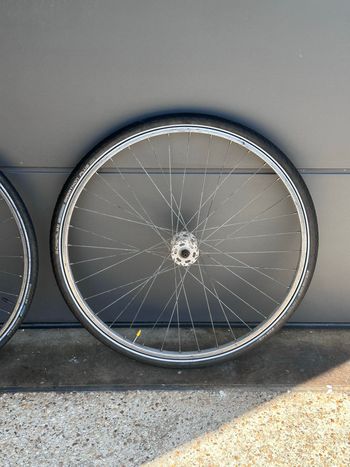 Used Schwalbe Marathon Plus Tires 2022 bike — image 3 of 4