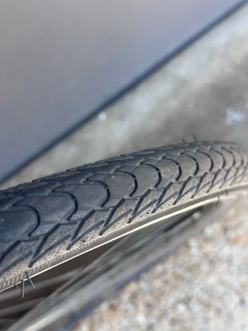 Used Schwalbe Marathon Plus Tires 2022 bike — image 2 of 4