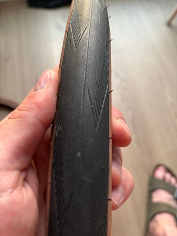 Used Schwalbe One Bronze Sidewall 2023 bike — image 7 of 7