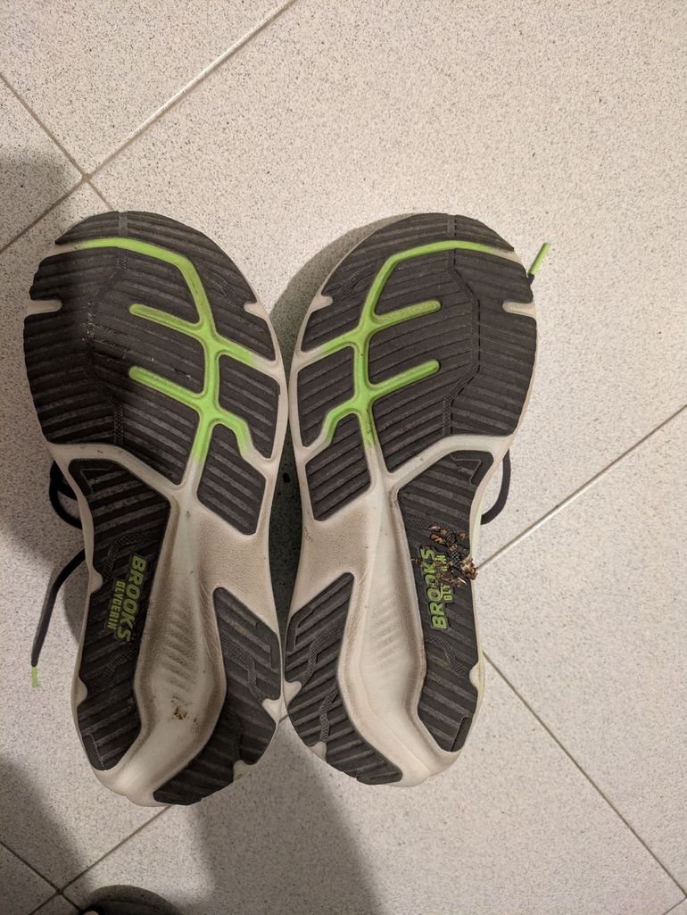 Used Brooks Glycerin 23 2026 bike — image 2 of 5