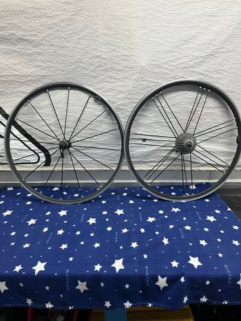 Used Campagnolo Shamal 2016 bike