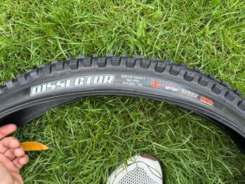 Used Maxxis Dissector 29x2.40 DD bike