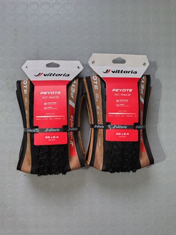 Used Vittoria Peyote XC Race 29x2.4 bike