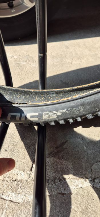 Used Schwalbe Magic Mary + Nobby Nic bike — image 6 of 8