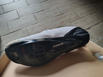 Used Shimano Dynalast 2026 bike — image 4 of 4