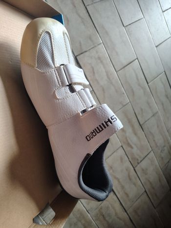 Used Shimano Dynalast 2026 bike — image 3 of 4