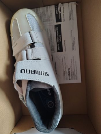 Used Shimano Dynalast 2026 bike — image 2 of 4